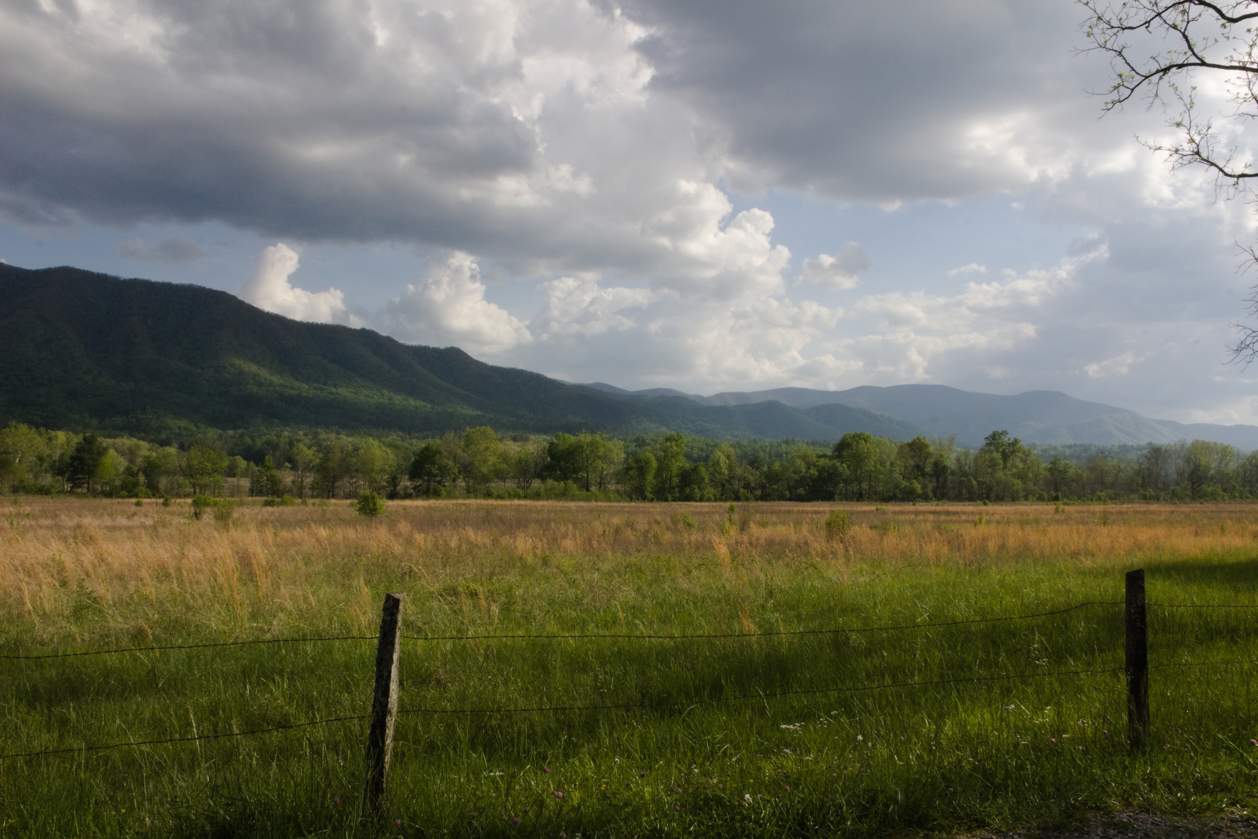 Great Smoky Mountains